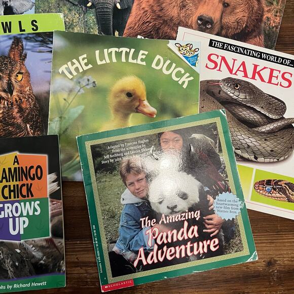 Book Bundle: Lot of 10 Children's Picture Books about Animals for Summer Reading - Picture 7 of 7